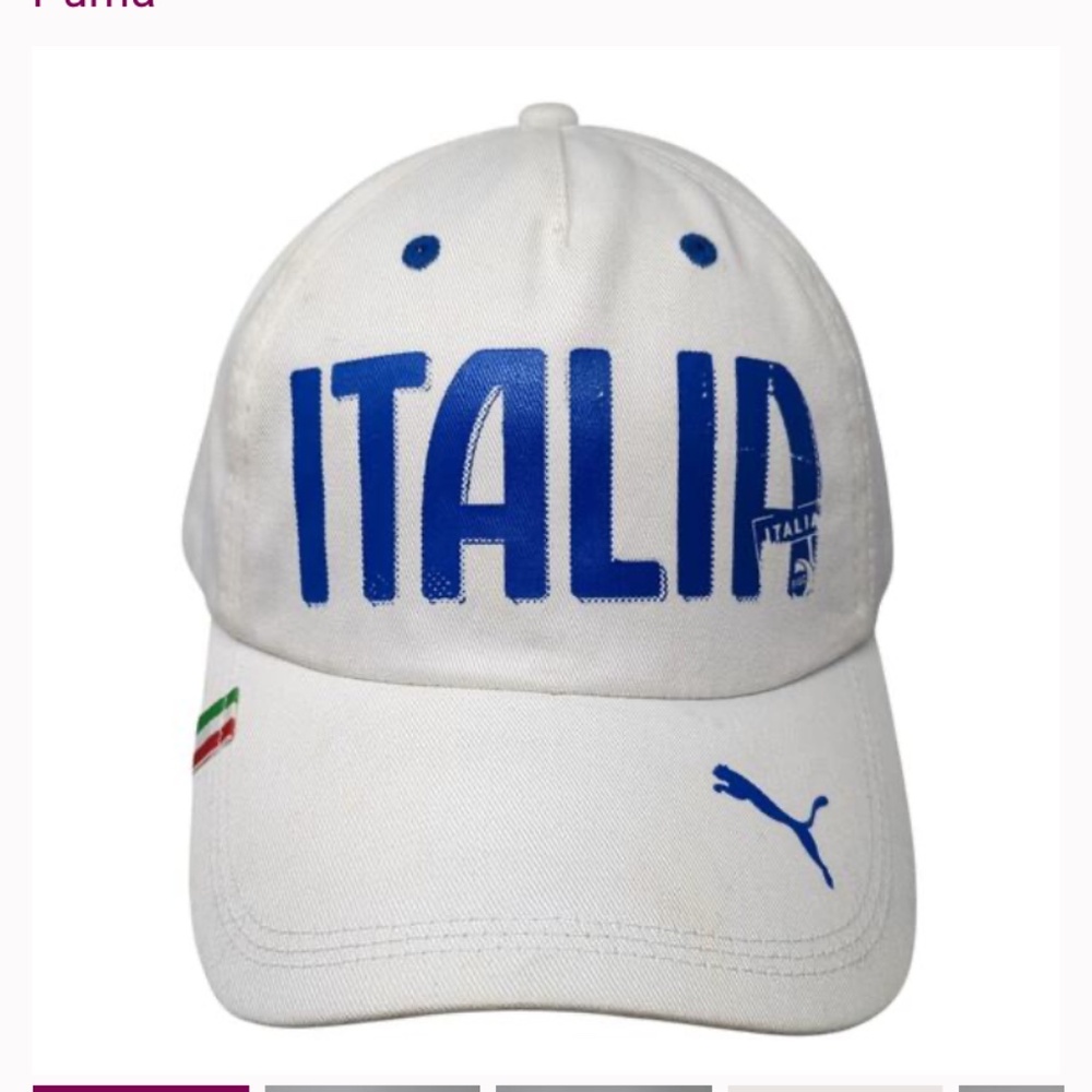 Puma hat